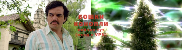 кокс Каменногорск