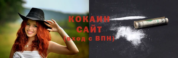 метадон Каменка