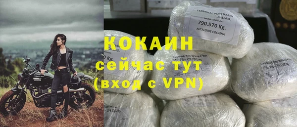 метадон Каменка