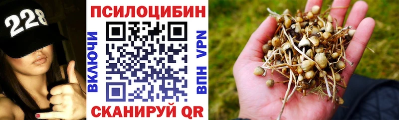 Купить где  Жигулёвск  Псилоцибиновые грибы Psilocybe 