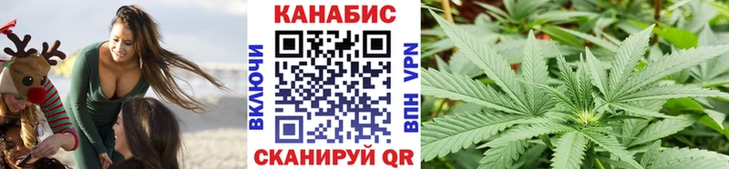 Каннабис OG Kush  Купить  Жигулёвск 